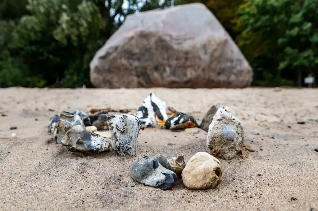 Finlandssvensk kultur: Sprog, medier og traditioner