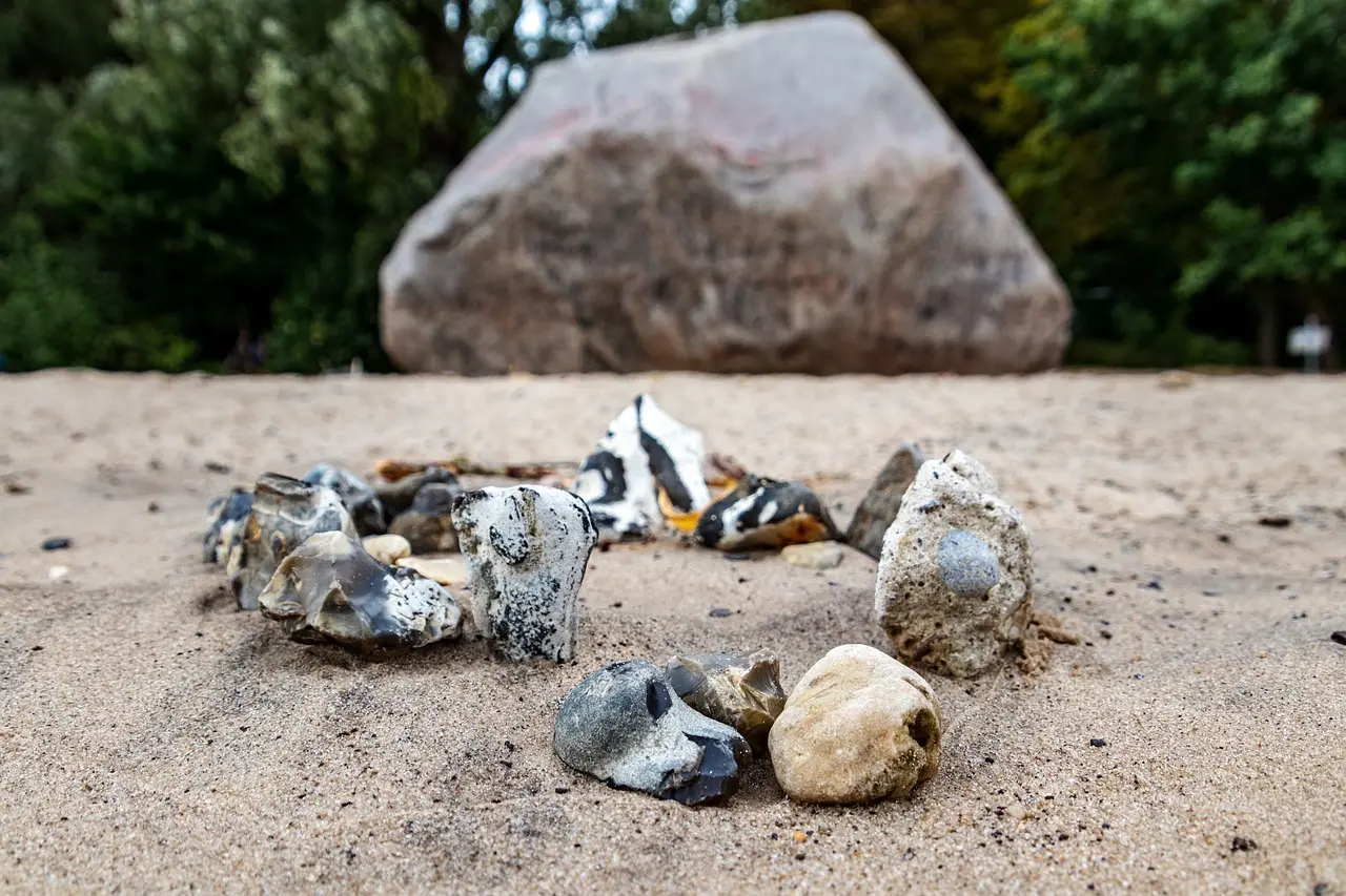 Finlandssvensk kultur: Sprog, medier og traditioner