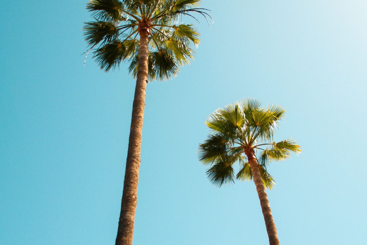 Tid til at gå efter Sydens Sol frem for Helsinkis kulde? Her er et rejsemål sydpå du ikke vil glemme